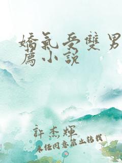 娇气受双男主推荐小说