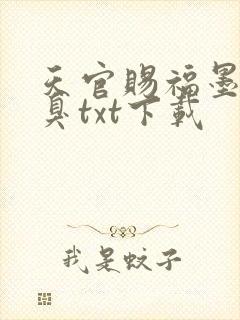 天官赐福墨香铜臭txt下载