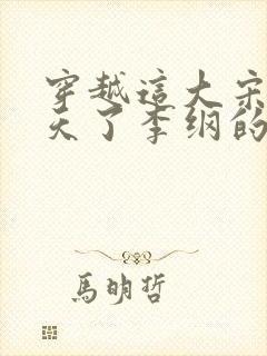 穿越这大宋该变天了李纲的小说