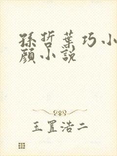 孙哲叶巧小妈朱颜小说