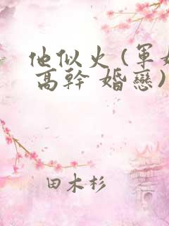 他似火 (军婚 高干 婚恋)小说