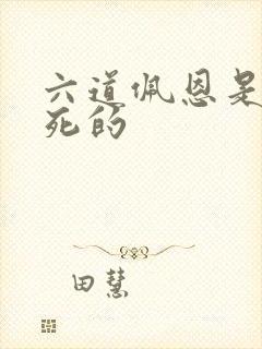 六道佩恩是怎么死的