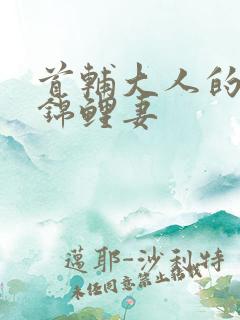 首辅大人的农家锦鲤妻