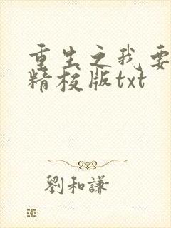 重生之我要冲浪精校版txt