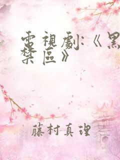 电视剧:《黑白禁区》