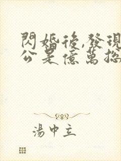 闪婚后,发现老公是亿万总裁 小说