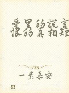 爱里的谎言,仇恨的真相短剧