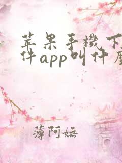 苹果手机下载软件app叫什么