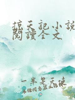 掠天记小说免费阅读全文