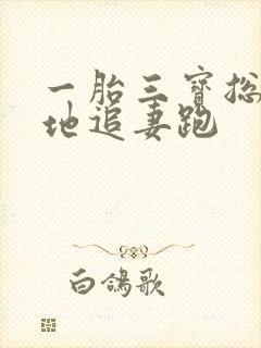 一胎三宝总裁爹地追妻跑