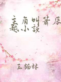 主角叫萧辰的穿越小说