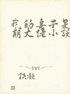 我的妻子是大乘期大佬小说第一部