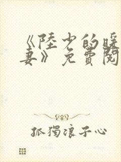 《陆少的暖婚新妻》免费阅读