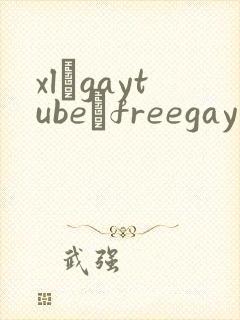 xl–gaytube–freegay男同
