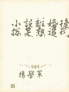 小说离婚后前夫总是想追我