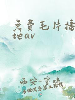 免费毛片播放基地av
