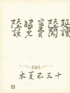 陆昭宁陆延骁小说免费阅读最新章节