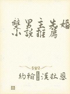 双男主先婚后爱小说推荐