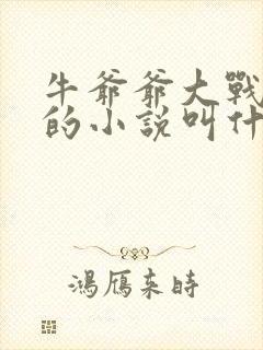 牛爷爷大战小丽的小说叫什么