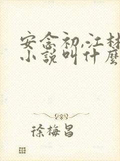 安念初,江林的小说叫什么名字