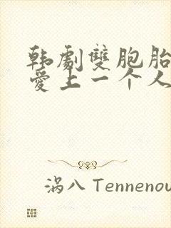 韩剧双胞胎兄弟爱上一个人