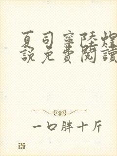 夏司宁陆煜泽小说免费阅读最新章节