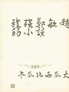 程强郑敏赵雪兰的小说