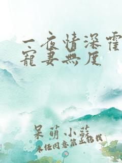 一夜情深霍先生宠妻无度
