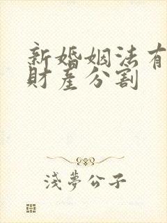 新婚姻法有小孩财产分割