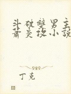 斗破双男主主角萧炎攻小说