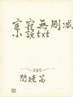 宦宠无删减原著小说txt