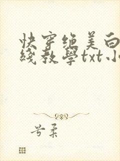 快穿绝美白莲在线教学txt小说