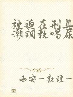 被迫在刑具上高潮调教喝尿男男,双性人