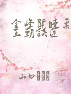 金峰关晓柔大康王朝铁匠