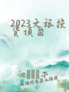 2023文旅投资项目