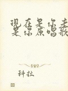 现在是你老了也是你原唱歌曲