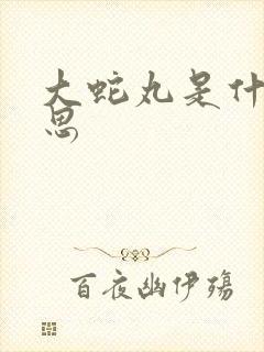 大蛇丸是什么意思