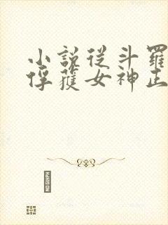 小说从斗罗开始俘获女神正版