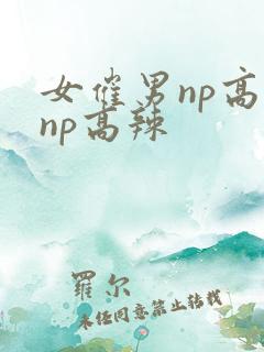 女催男np高hnp高辣