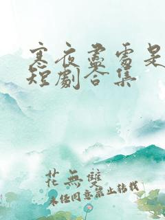 寒夜尽处是卿心短剧合集