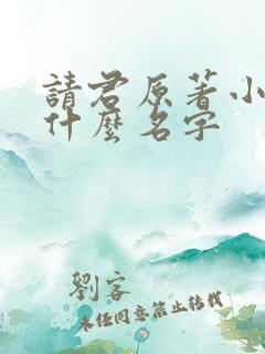 请君原著小说叫什么名字