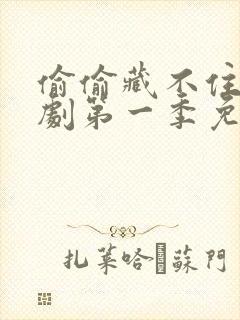 偷偷藏不住电视剧第一季免费观看