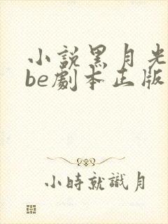 小说黑月光拿稳be剧本正版免费