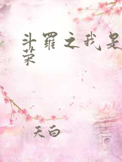 斗罗之我是宁荣荣