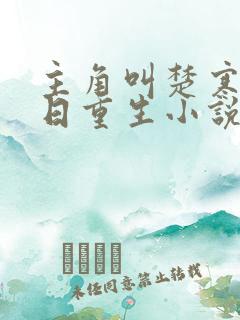 主角叫楚寒的末日重生小说