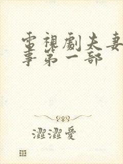 电视剧夫妻那些事第一部