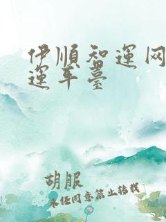 伊顺智运网络货运平台