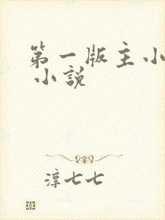 第一版主小说网 小说