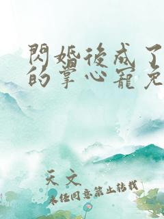 闪婚后成了总裁的掌心宠免费阅读