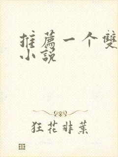 推荐一个双男主小说